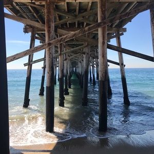 Meet your Posher, Tricia